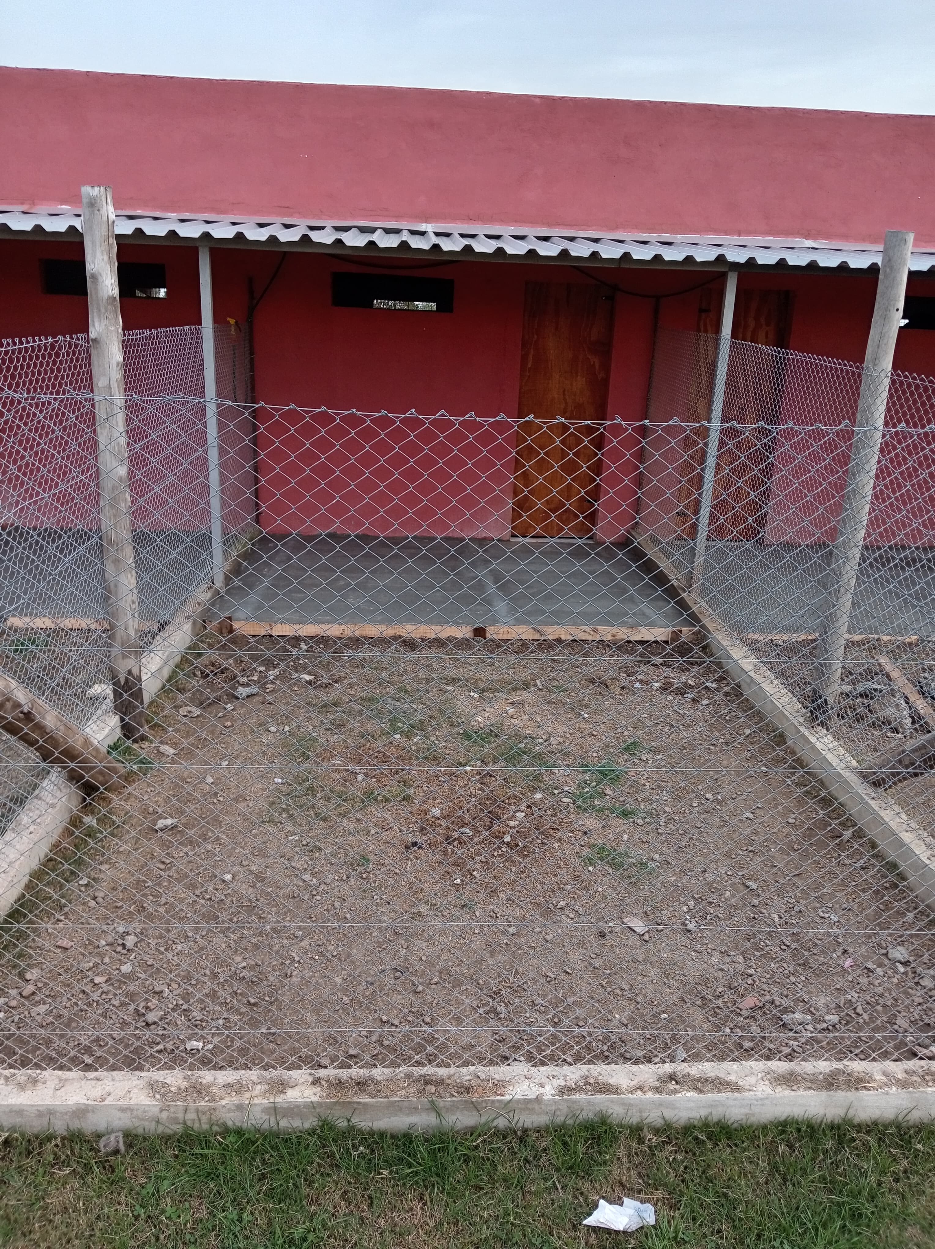 Hotel Canil - Foto 11